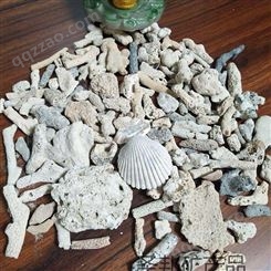圣邦矿产品大量生产水族滤材用珊瑚石 水处理珊瑚砂珊瑚骨 鱼缸造景过滤珊瑚石