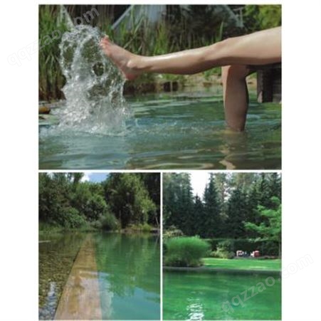 景观湖水处理设备泳池净化系统蛋白质分离器