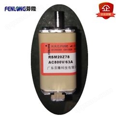 RSM20Z78熔断器订做-FENLONG品牌