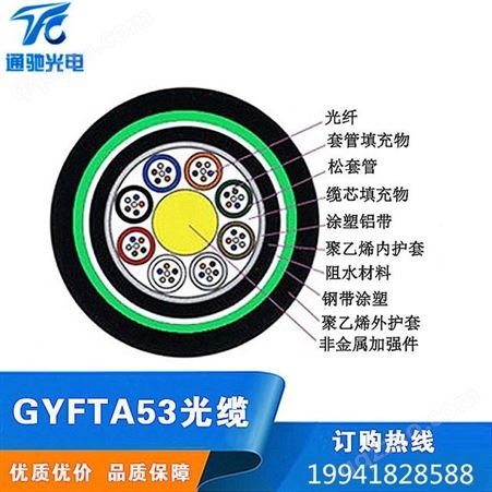 非金属阻燃防鼠光缆GYFTZY53-24B1阻燃直埋光缆24芯单模 TCGD/通驰光电