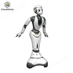安徽本地智能机器人租赁天租 迎宾服务机器人