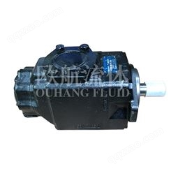 现货DENISON丹尼逊双联叶片泵液压泵T6EC 042 006 1R00