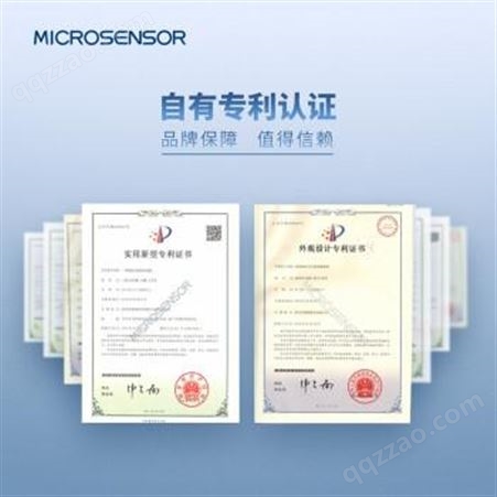 麦克温度传感器 MTM4865型 卫生型 高精度 防爆 温度计