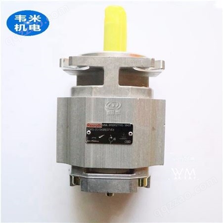 自动压力机用力士乐齿轮泵PGH4-21/040RE11VE4,上海韦米供应齿轮泵