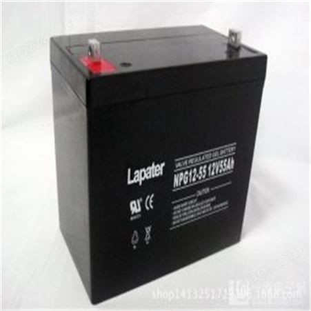 Lapater拉普特蓄电池NP200-12 12V200AH 太阳能直流屏UPS用蓄电池