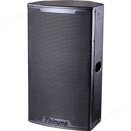 Thinuna T-12 两分频12寸专业音箱