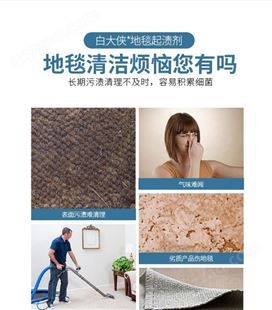 广东清洗剂生产厂家 中山白大侠4L地毯起渍剂,地毯清洁剂 地毯起泡剂清洁用品批发