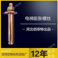 佰菲特4.85级M12膨胀螺栓 标准10*2.5螺纹碳钢材质全国定制销售