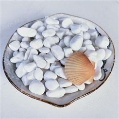 小白石子 3-6mm 水族盆栽用白色鹅卵石 白色碎石 河北诚诺供应