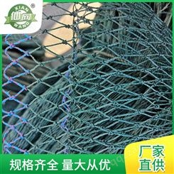 批发无节网 渔网厂家直供 天网渔需用品