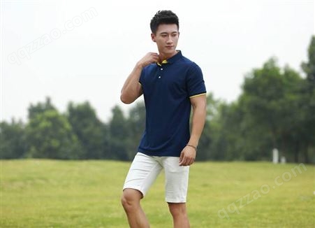 夏季POLO衫男短袖T恤 日系简约纯色珠地网眼纯棉刺绣上衣半袖
