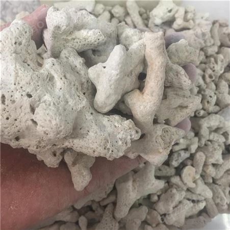过滤珊瑚骨 珊瑚砂 1-5cm珊瑚砂 汇锦矿业