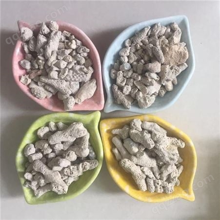 过滤珊瑚骨 珊瑚砂 1-5cm珊瑚砂 汇锦矿业