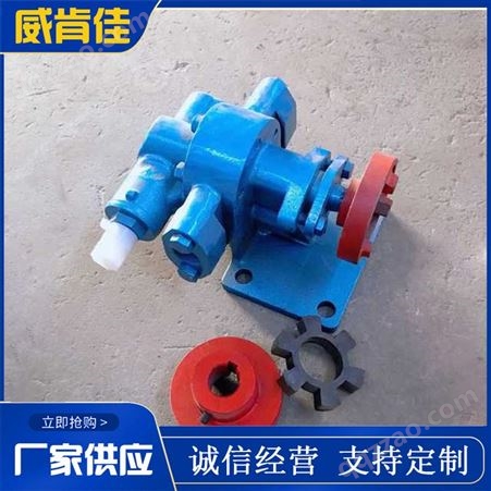 销售生产齿轮泵 齿轮油泵 不锈钢齿轮泵 大流量齿轮泵