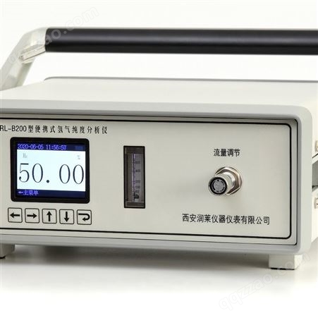 氢气分析仪   RL-S200型氢气分析仪    氢气纯度分析仪
