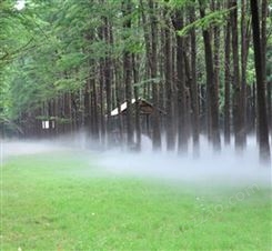 景观人造雾 冷雾降温设备 人工造雾机 免费设计 造型精美