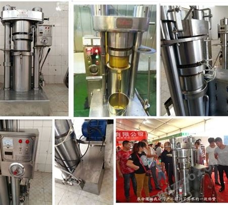 奇丰17KG液压机立式液压榨油机香油机油坊油厂设备