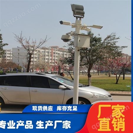 【新世纪】电子监控杆监控杆 小区监控杆 道路交通监控杆