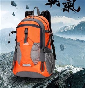 B017双肩包定制可印logo 专业户外运动登山包休闲旅行包