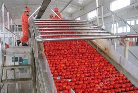 上海嘉备  番茄酱生产线   番茄酱生产线