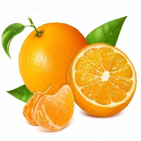 厂家批发水果橘子罐头 新鲜橘子