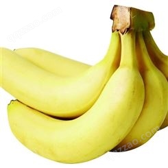 推荐香精  京顿食品添加剂  水果类香蕉香精