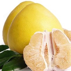 香精 京顿食品添加剂 水果类蜜柚味香精