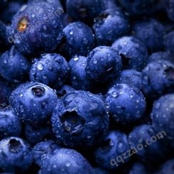 批发香精 香气天然京顿食品添加剂 水果类野生蓝莓味香精
