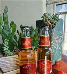 275l*24玻璃瓶装啤酒批发招代理山东潍坊厂家直发精酿