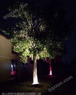 抱树灯效果图，LED抱树灯，照树灯，乔光照明