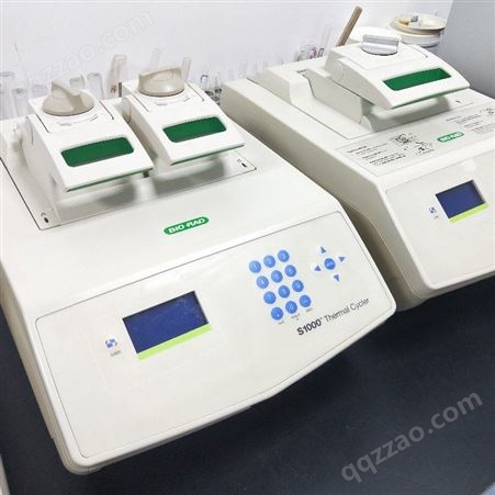 BIO RAD/伯乐PCR仪S1000 伯乐基因扩增仪 C1000 T100 pcr仪