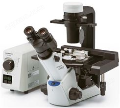 奥林巴斯Olympus显微镜CKX53总代理