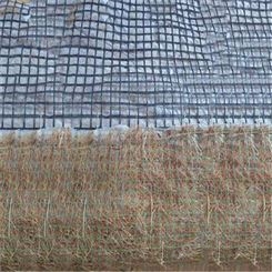 辽阳麻椰固土毯 环保型防冲毯 生态植草纤维护坡毯