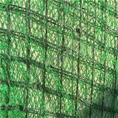 枣庄矿山复绿网三维土工网垫各种规格 支持定制