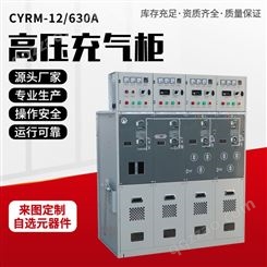 CYRM-12/630A充气柜 高压充气柜 高压开关设备 深圳晨亿电力
