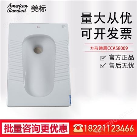 美标卫浴 新科德 家用卫生间 蹲坑式蹲厕 方形蹲便器CCAS8009